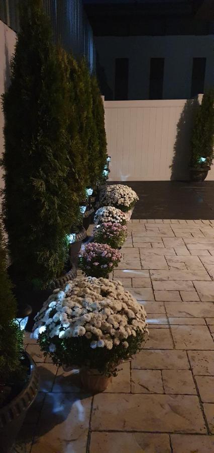 Casuta Din Copou Daire Yaş Dış mekan fotoğraf